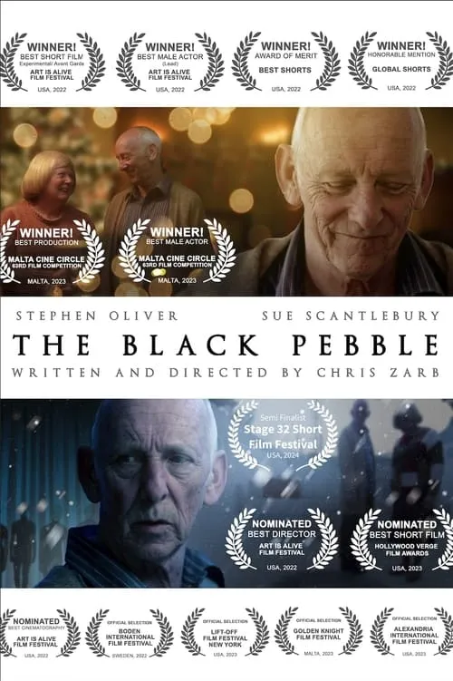 The Black Pebble (фильм)