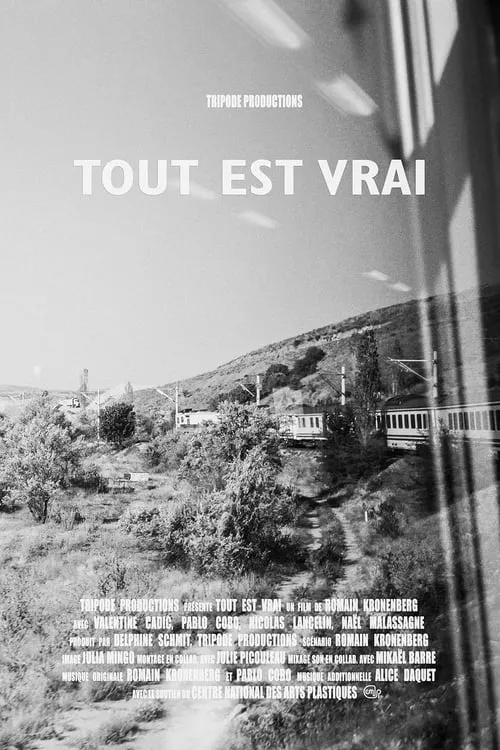 Tout est vrai (фильм)