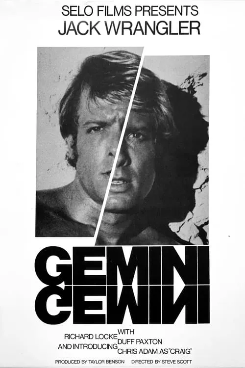 Gemini (movie)