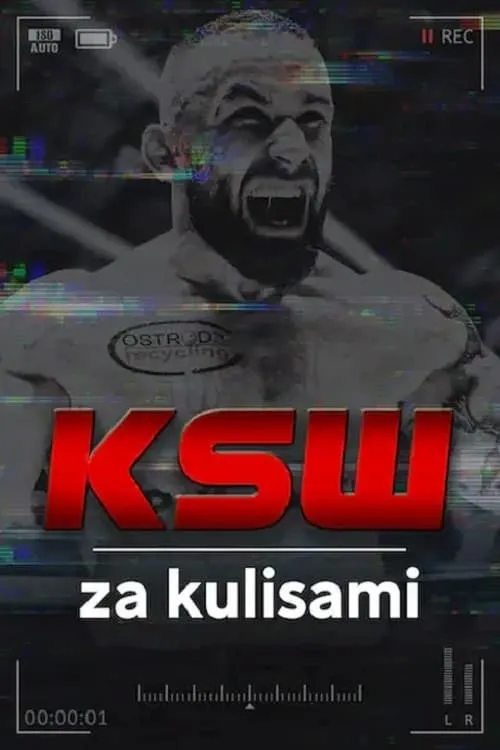 KSW za kulisami (series)