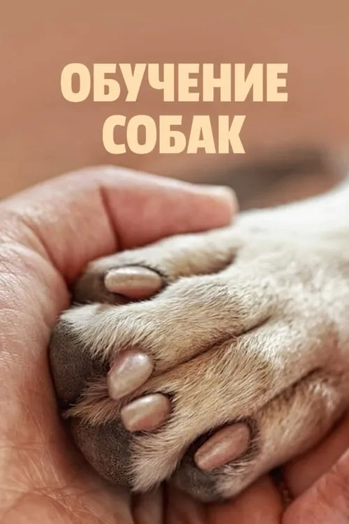 Обучение собак (сериал)