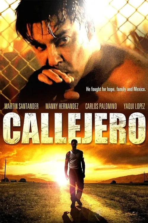 Callejero (movie)