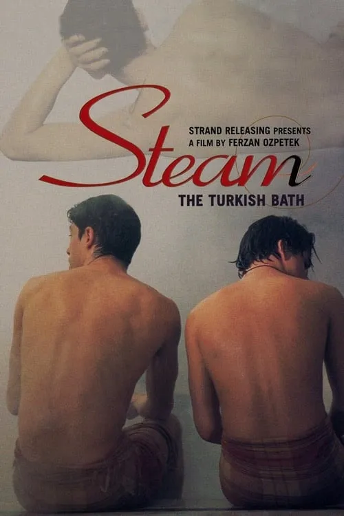 Steam: The Turkish Bath (movie)