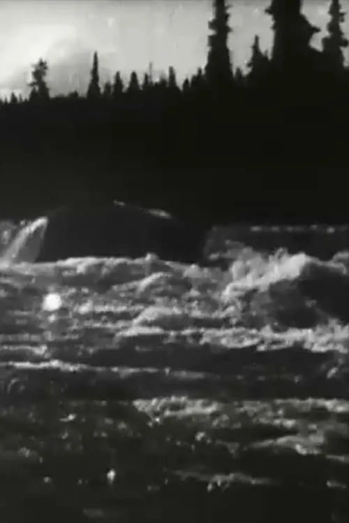 White Horse Rapids (movie)