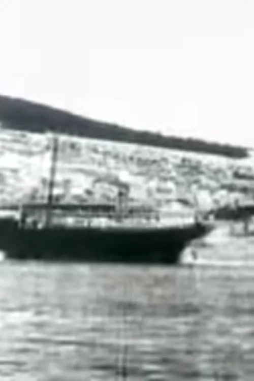 The Sibenik Port (movie)