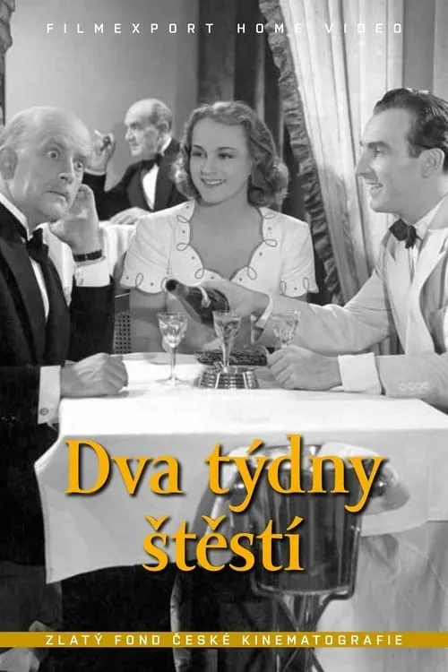 Dva týdny štěstí (movie)