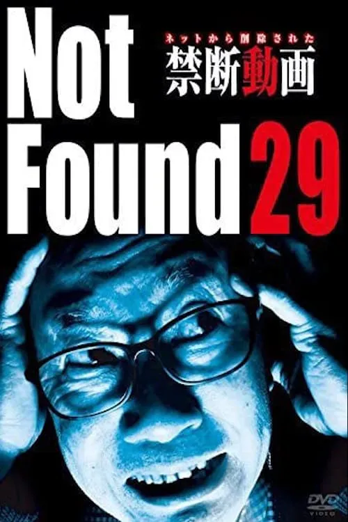 Not Found 29 (movie)