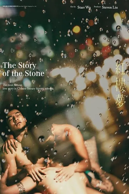 The Story of the Stone (movie)