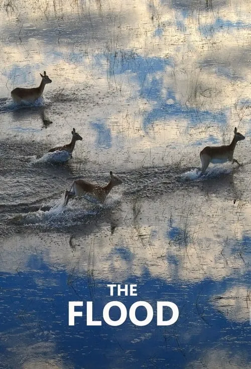 The Flood