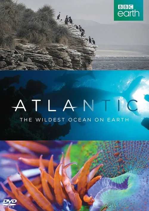 Atlantic: The Wildest Ocean on Earth (movie)