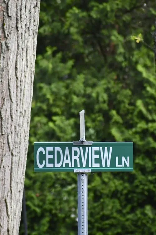 Cedarview (movie)