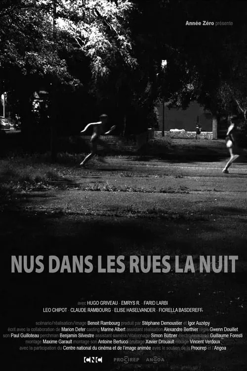 Nus dans les rues la nuit (фильм)