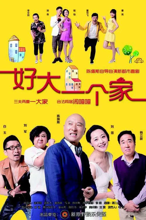 好大一个家 (сериал)