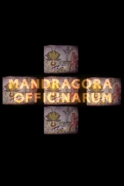 Mandragora officinarum (movie)