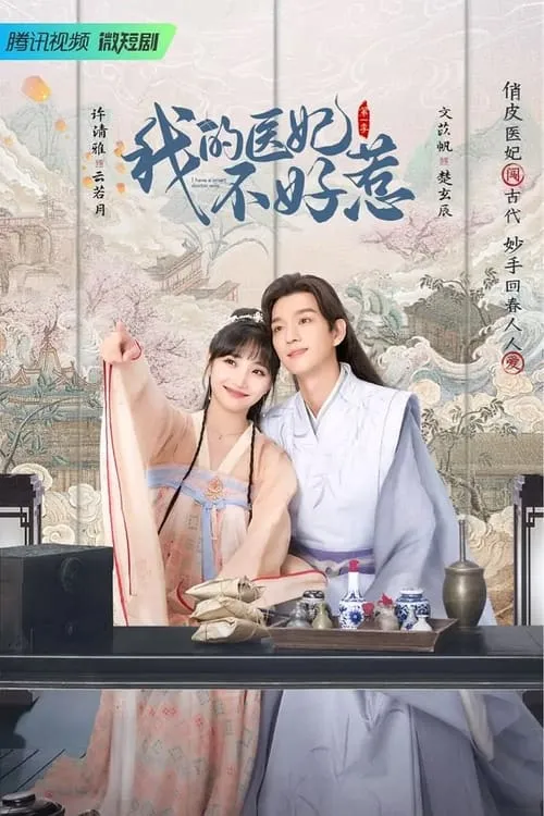 我的医妃不好惹 (сериал)