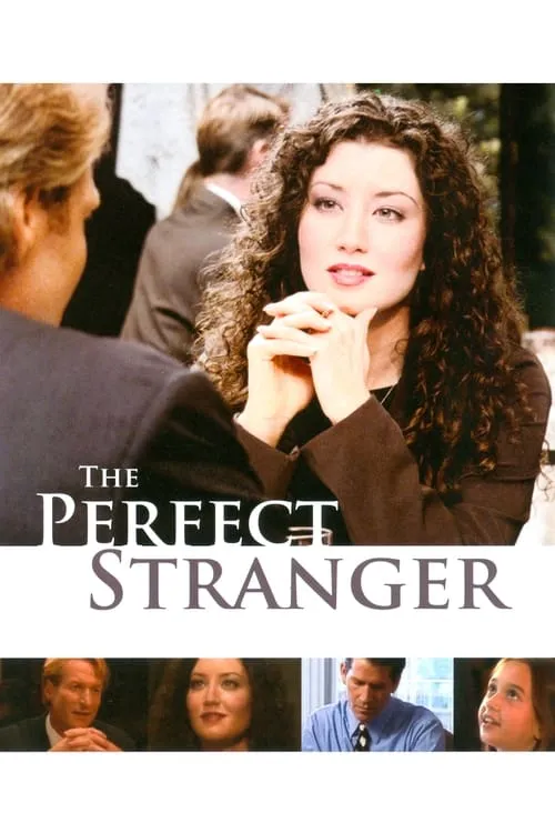 The Perfect Stranger (movie)