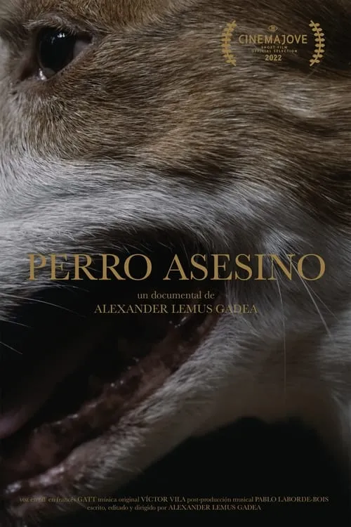 Perro Asesino (фильм)