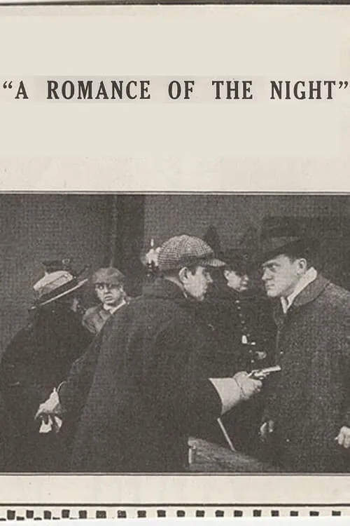 A Romance of the Night (фильм)