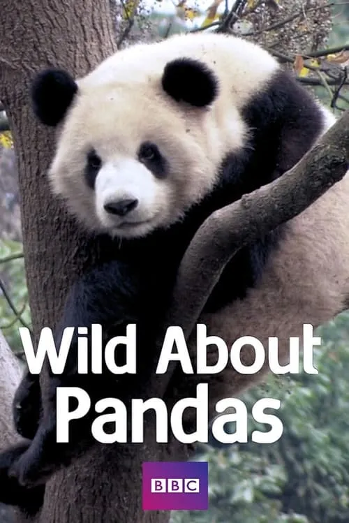 Wild About Pandas (сериал)