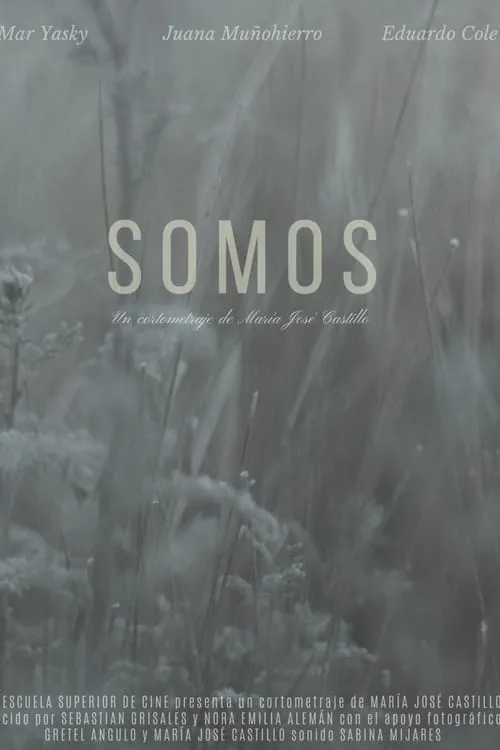 Somos (фильм)