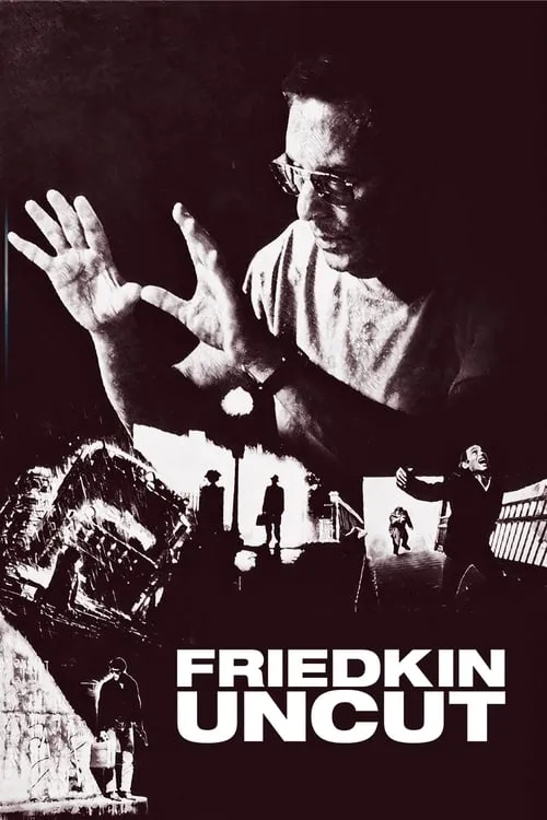Friedkin Uncut (фильм)