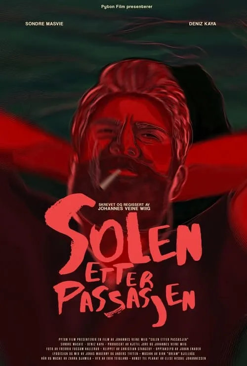 Solen etter Passasjen (movie)