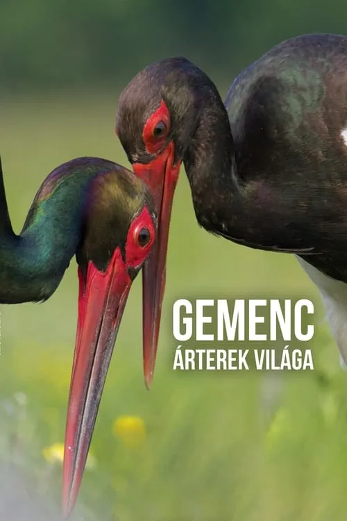 Gemenc - Árterek világa (фильм)