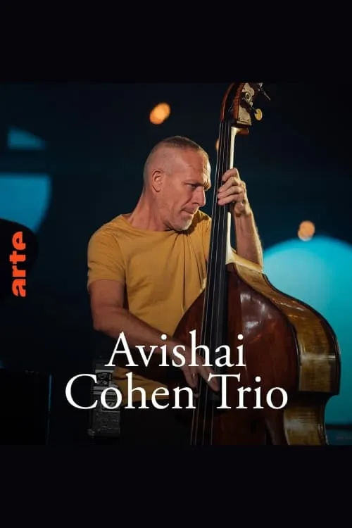 Avishai Cohen Trio – Shifting sands (фильм)