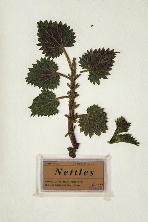 Nettles (movie)