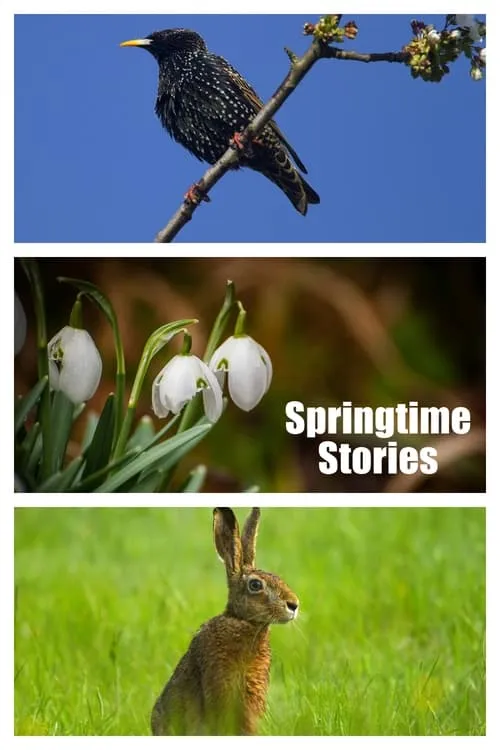 Springtime Stories