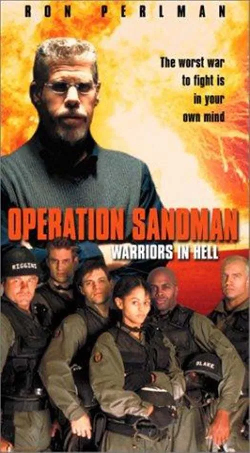 Operation Sandman (movie)