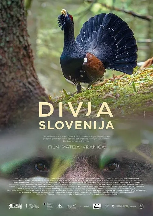 Divja Slovenija