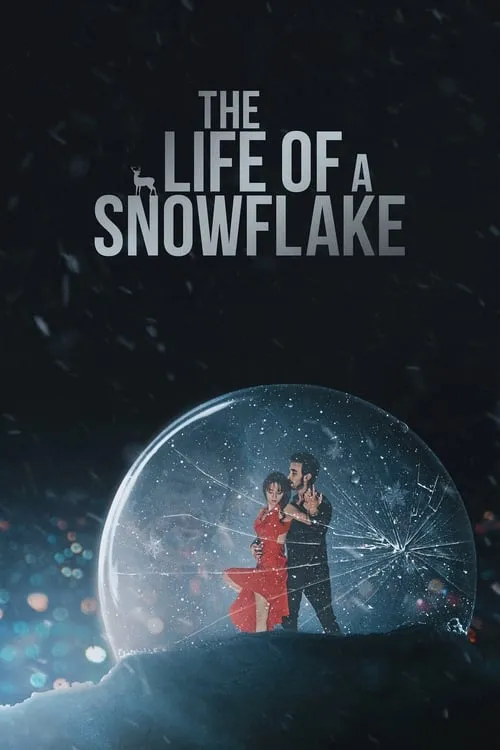 The Life of a Snowflake (movie)