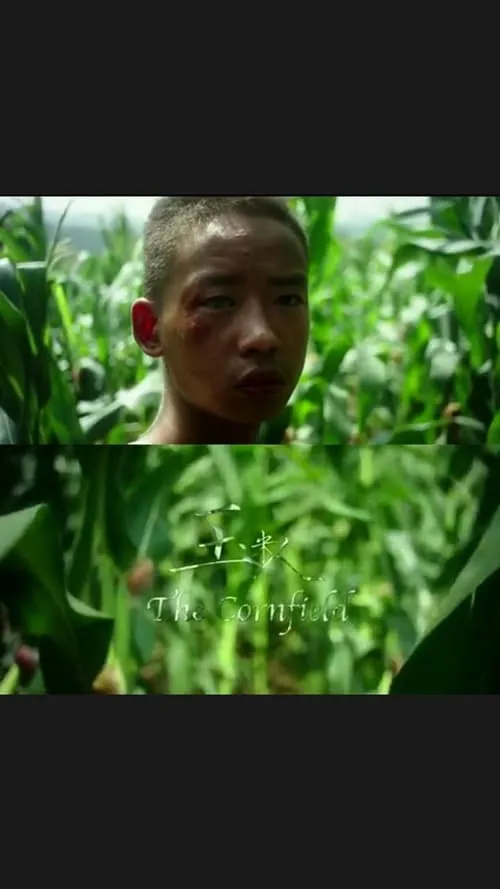 The Cornfield (movie)