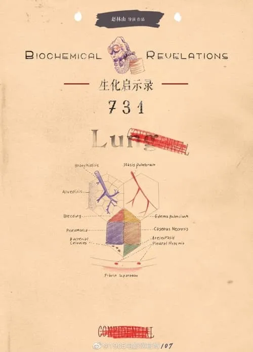 731 (фильм)