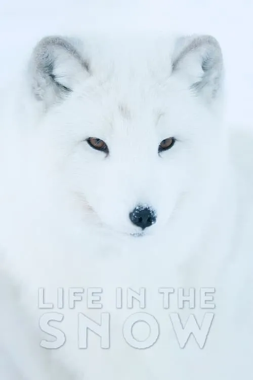 Life In The Snow (movie)