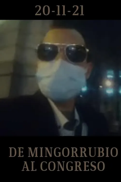 De Mingorrubio al Congreso (movie)