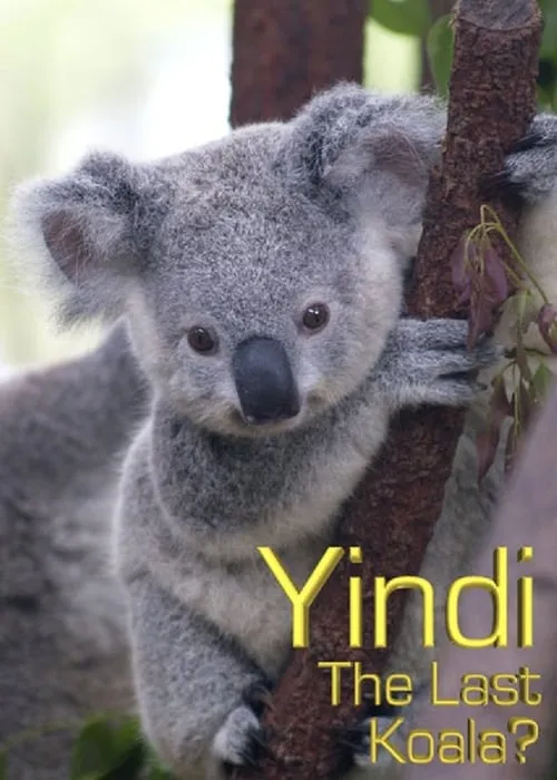 Grainger's World: Yindi: The Last Koala?