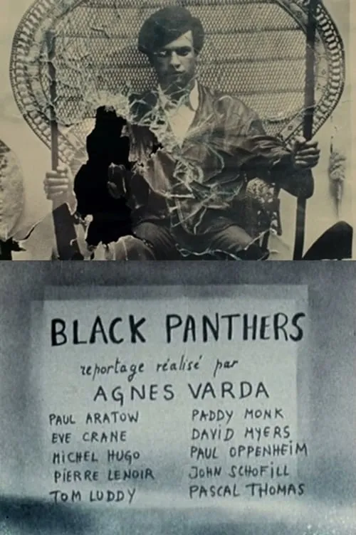 Black Panthers (фильм)
