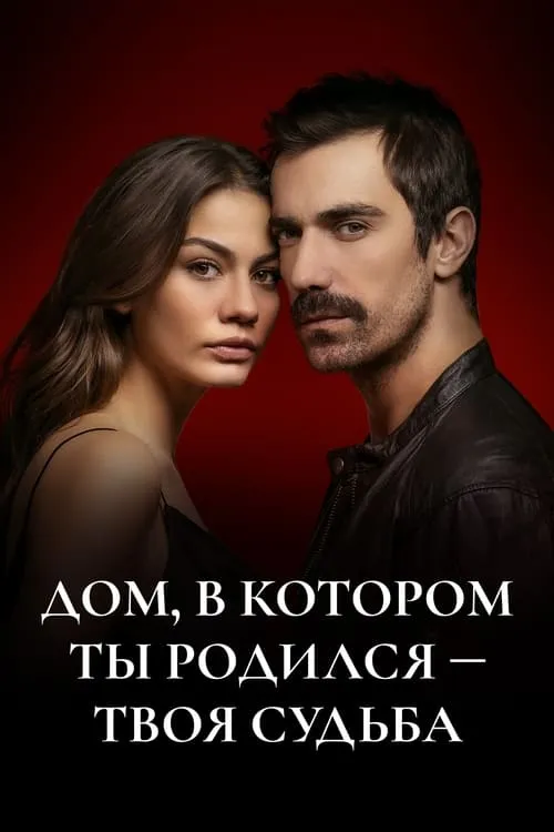 Дом, в котором ты родился - твоя судьба (сериал)