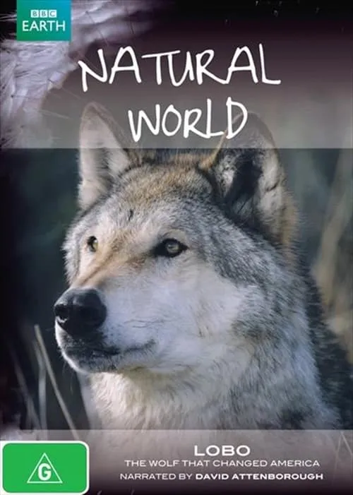 A Wolf Called Storm (movie)