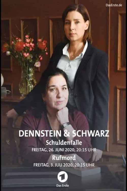 Dennstein & Schwarz - Pro bono, was sonst! (movie)