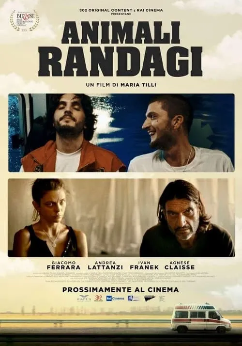 Animali randagi (movie)