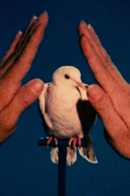 A White Dove (movie)