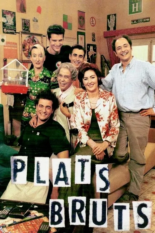 Plats bruts (сериал)