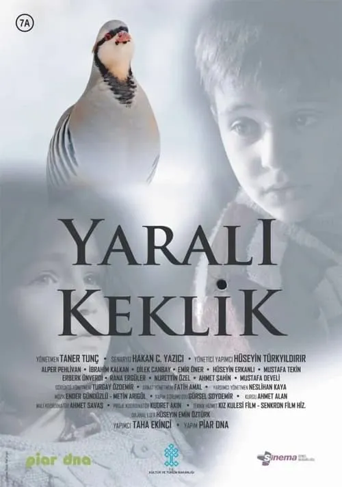 Yaralı Keklik (фильм)