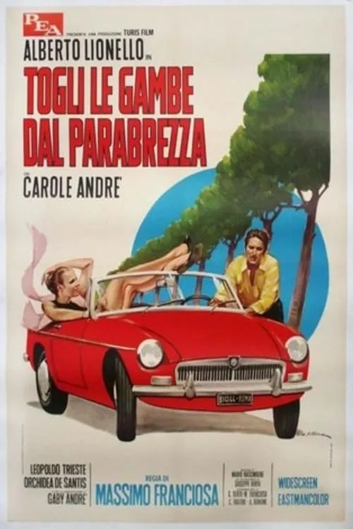 Togli le gambe dal parabrezza (movie)