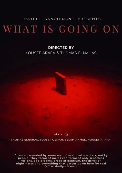 What Is Going On (movie)