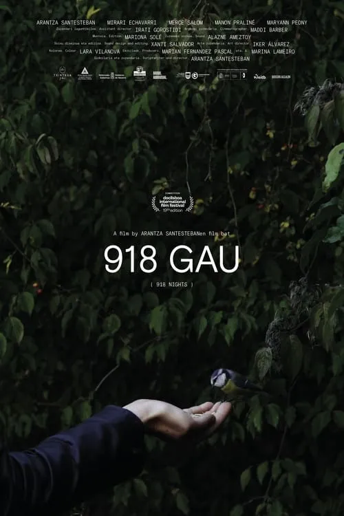 918 Nights (movie)