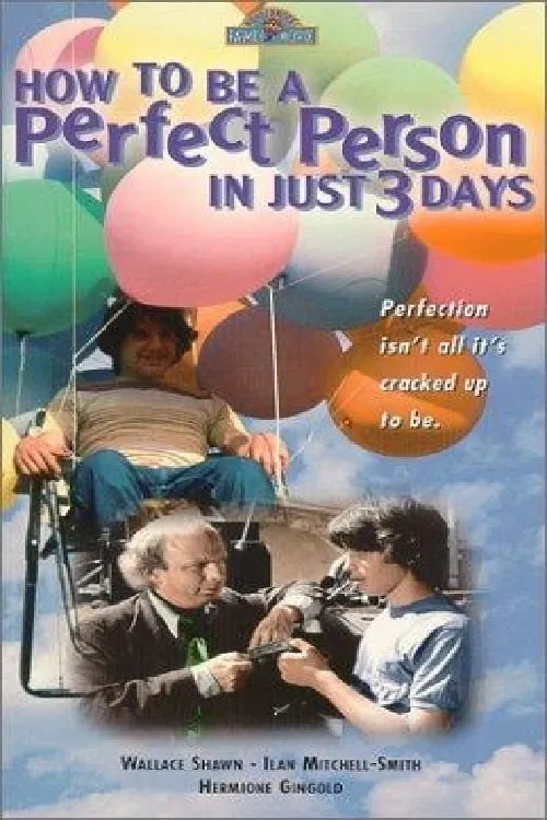 How to Be a Perfect Person in Just Three Days (movie)